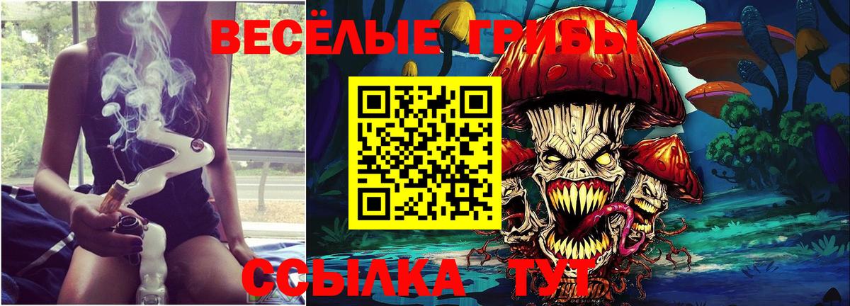 продажа наркотиков  Псилоцибиновые грибы мухоморы  Вход с VPN  Качканар  Псилоцибиновые грибы Psilocybine cubensis 